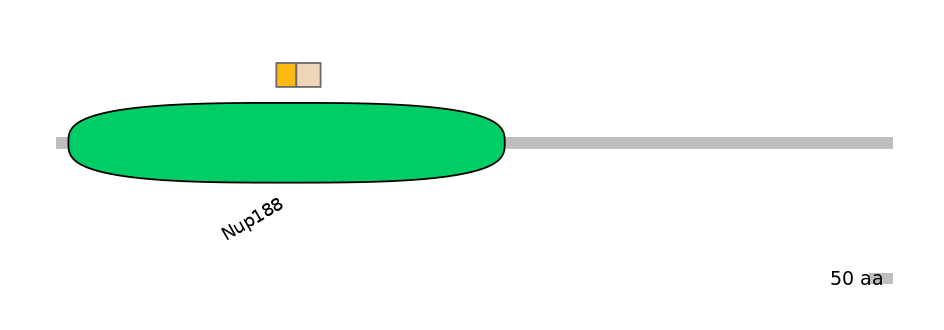 MmuINT0111767-EXC