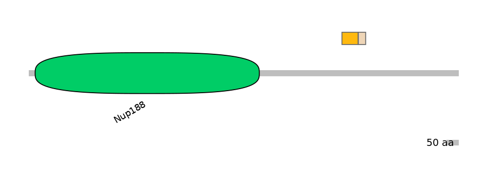 MmuINT0111789-EXC