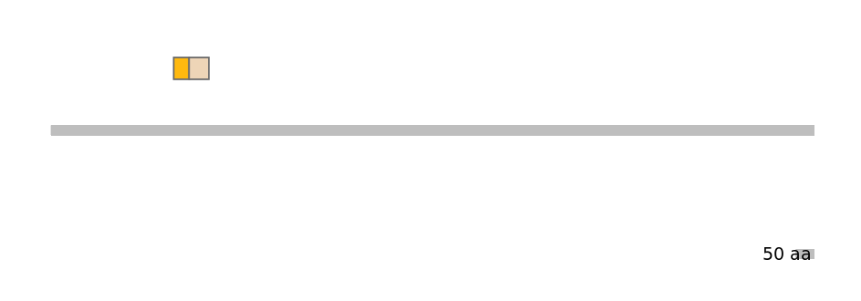 MmuINT0111925-EXC