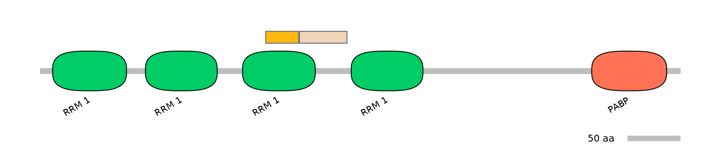 MmuINT0114455-EXC