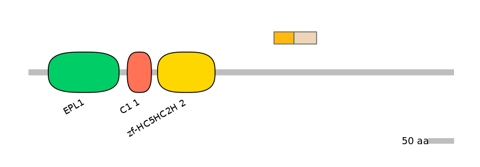 MmuINT0118722-EXC