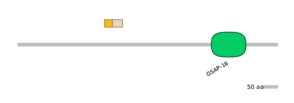 MmuINT0120068-EXC