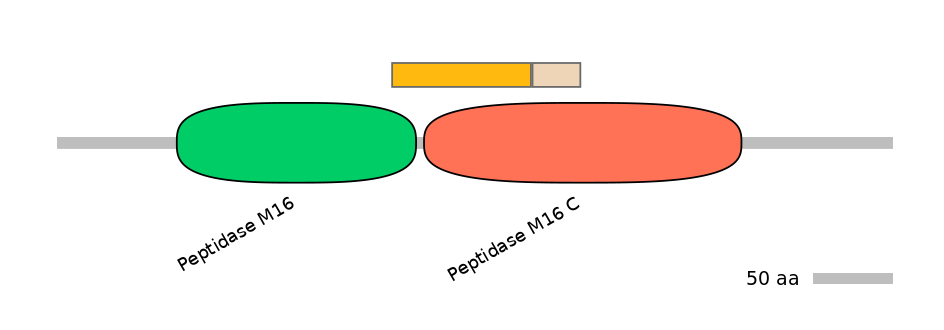 MmuINT0122943-EXC