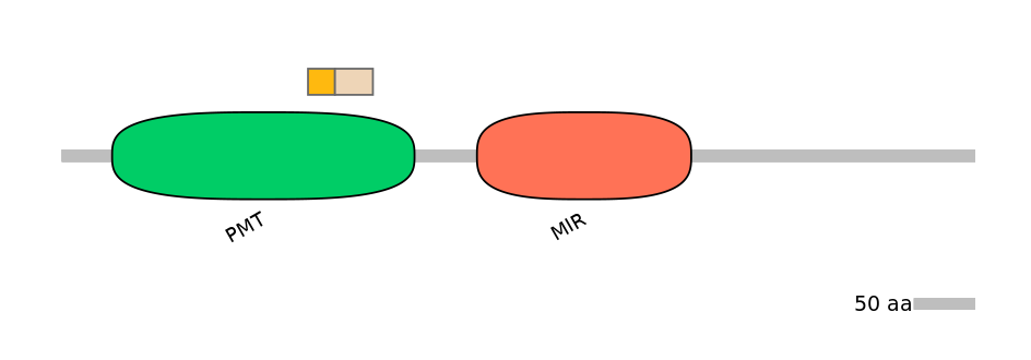 MmuINT0124103-EXC