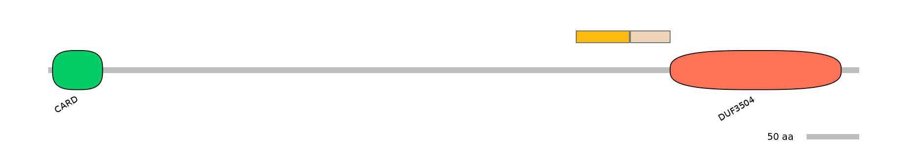 MmuINT0130168-EXC