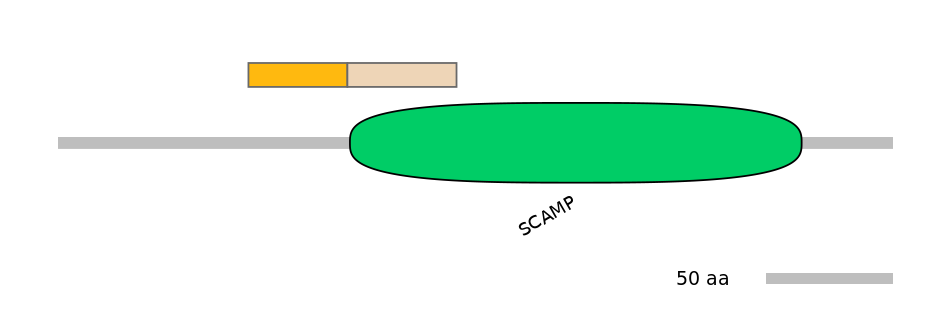 MmuINT0139189-EXC