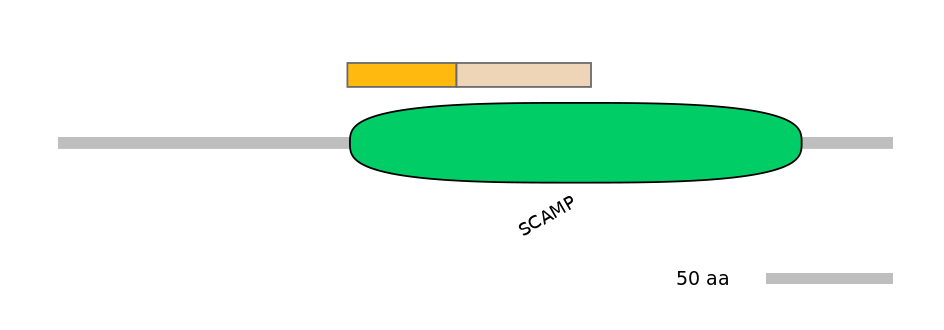 MmuINT0139190-EXC