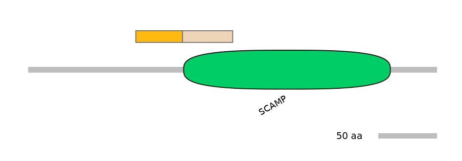 MmuINT0139197-EXC