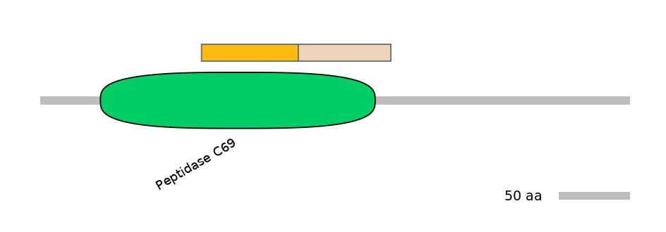 MmuINT0139961-EXC
