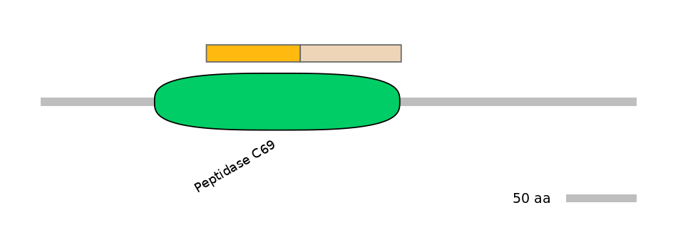 MmuINT0139968-EXC