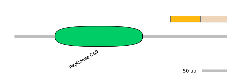 MmuINT0139971-EXC