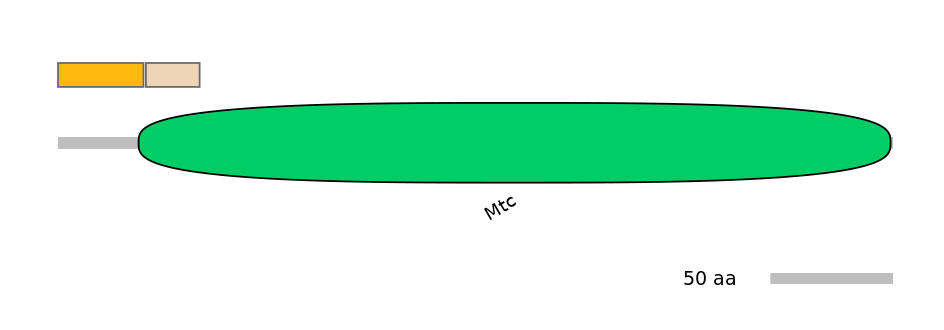 MmuINT0142653-EXC