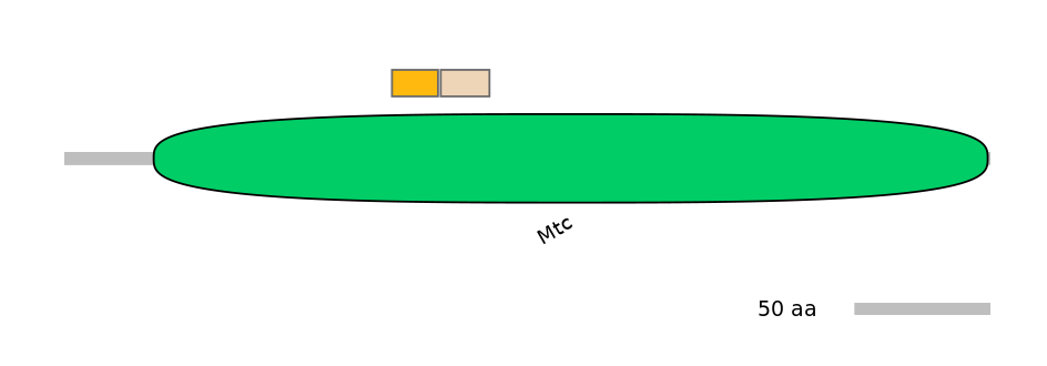 MmuINT0142663-EXC