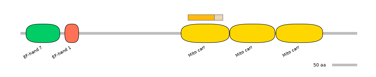 MmuINT0145455-EXC