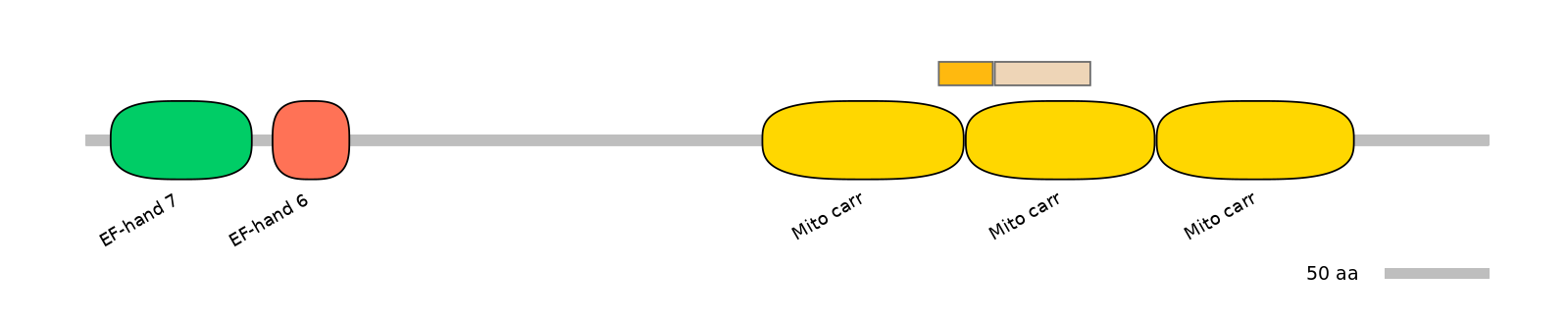 MmuINT0145474-EXC