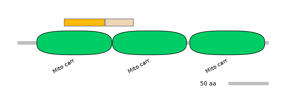 MmuINT0145698-EXC
