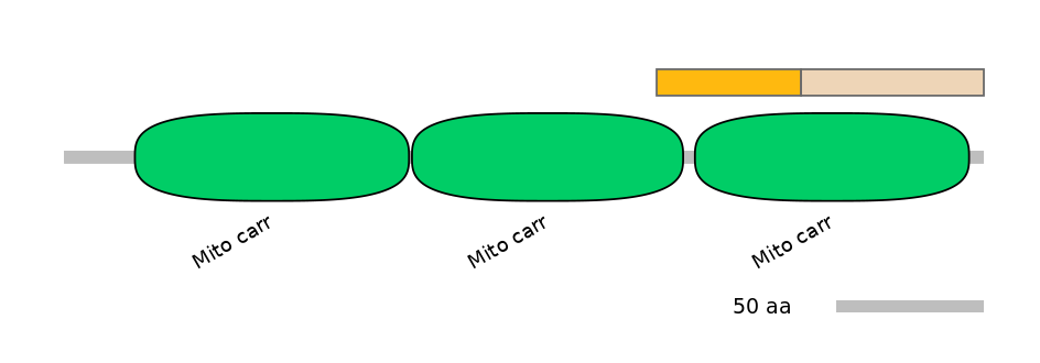 MmuINT0145701-EXC