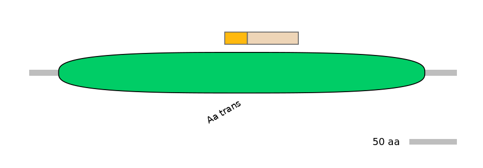 MmuINT0146582-EXC