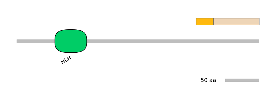 MmuINT0150317-EXC