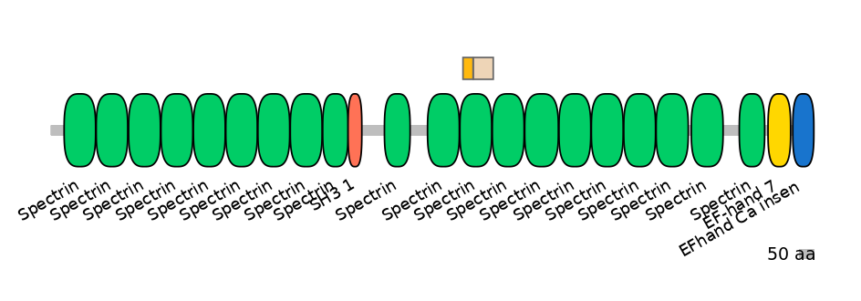 MmuINT0151718-EXC