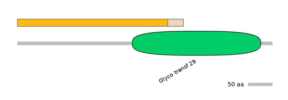 MmuINT0153223-EXC