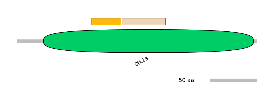 MmuINT0154064-EXC