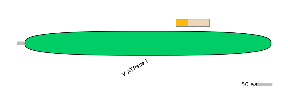 MmuINT0158277-EXC