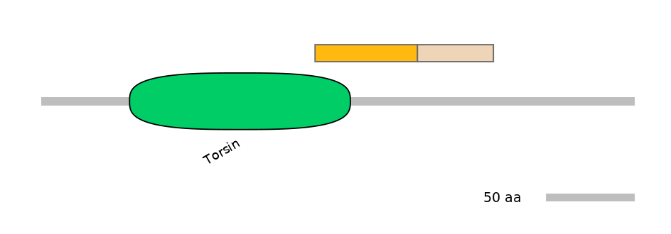 MmuINT0164014-EXC