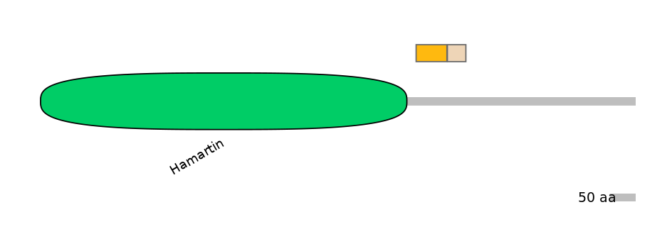 MmuINT0166421-EXC