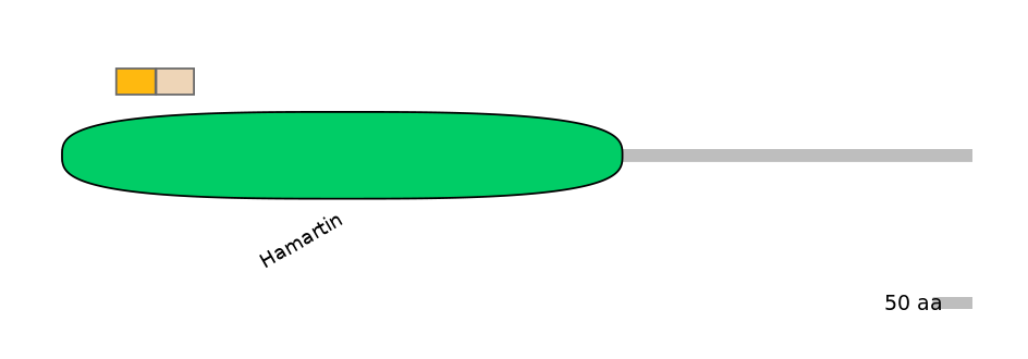 MmuINT0166429-EXC