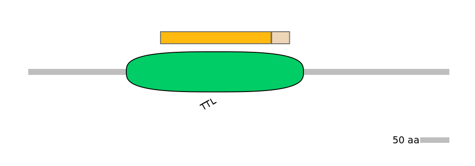 MmuINT0167541-EXC