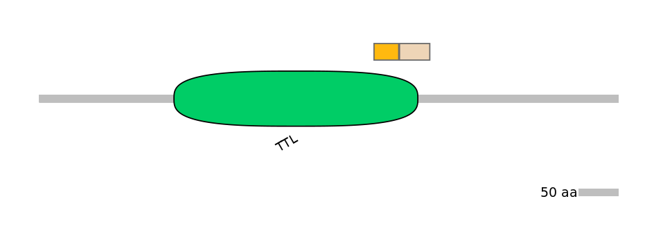 MmuINT0167542-EXC