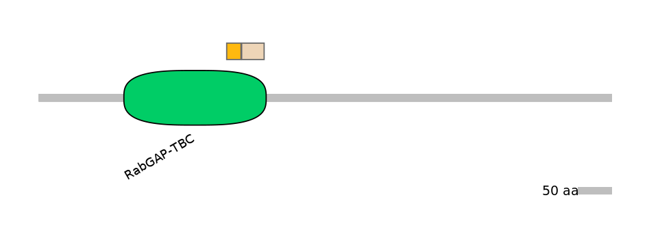 MmuINT0172062-EXC