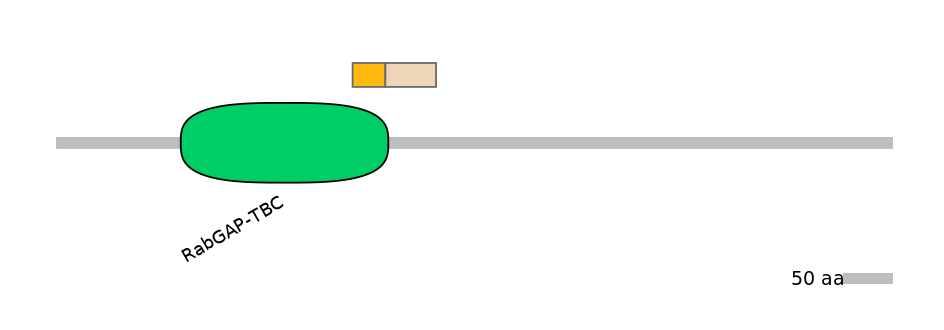 MmuINT0172063-EXC