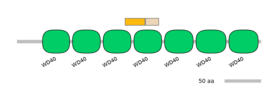 MmuINT0175383-EXC