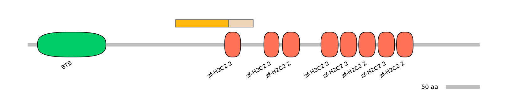 MmuINT0177734-EXC