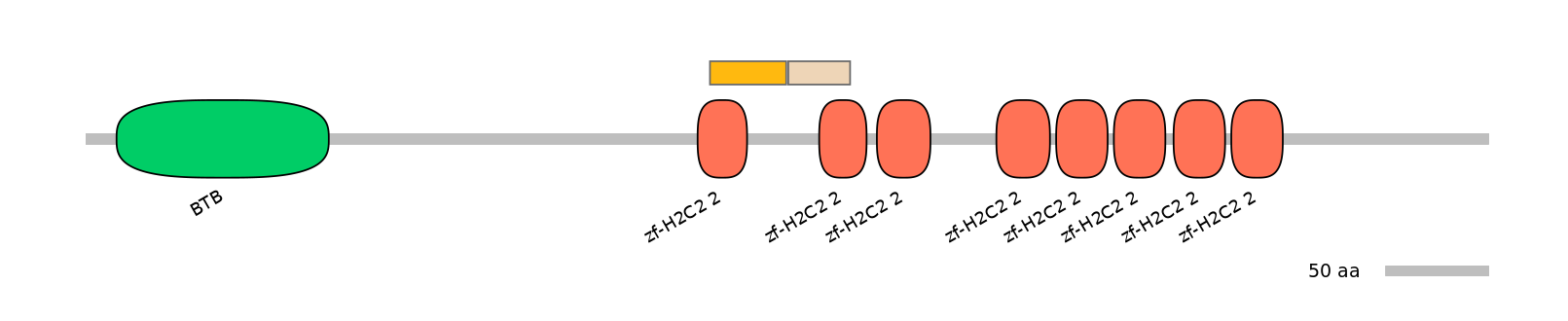 MmuINT0177735-EXC