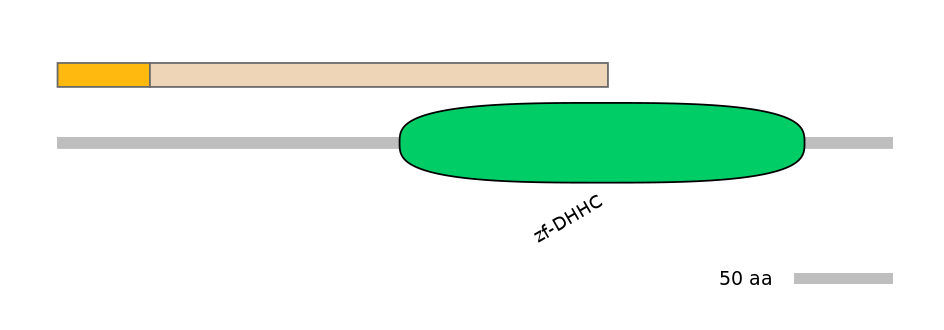 MmuINT0178297-EXC