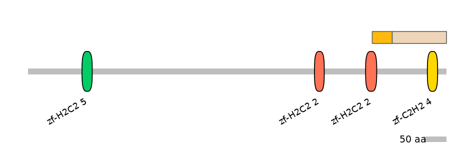 MmuINT0179346-EXC
