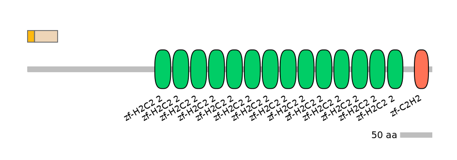 MmuINT0179574-EXC