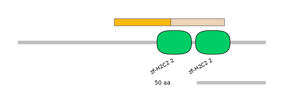 MmuINT0179805-EXC