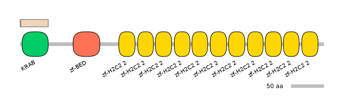 MmuINT0180015-EXC