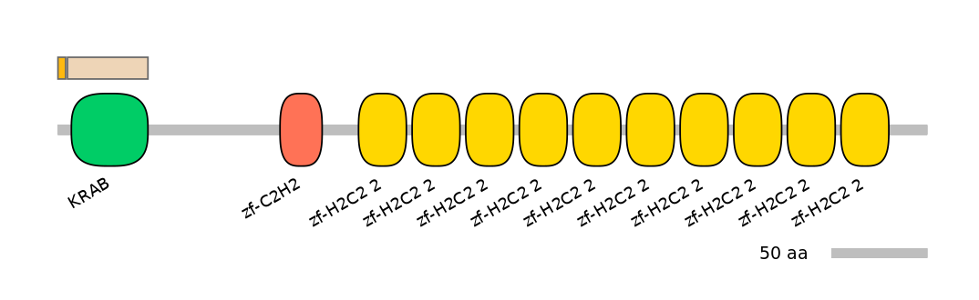 MmuINT0180033-EXC