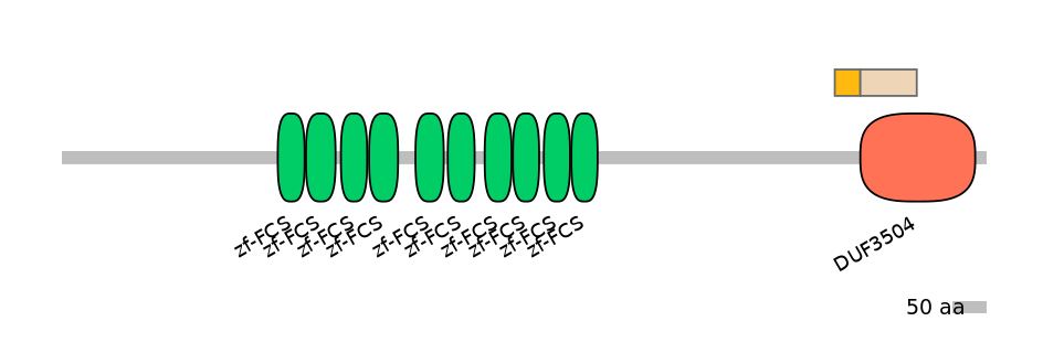 MmuINT0180472-EXC