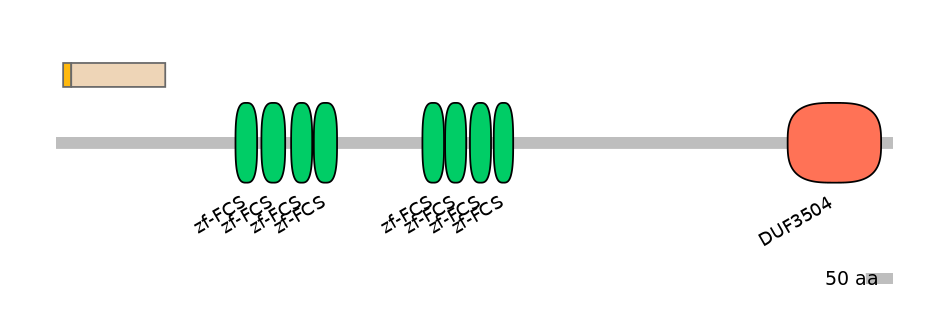MmuINT0180520-EXC