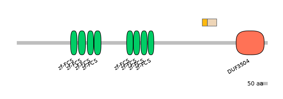 MmuINT0180524-EXC