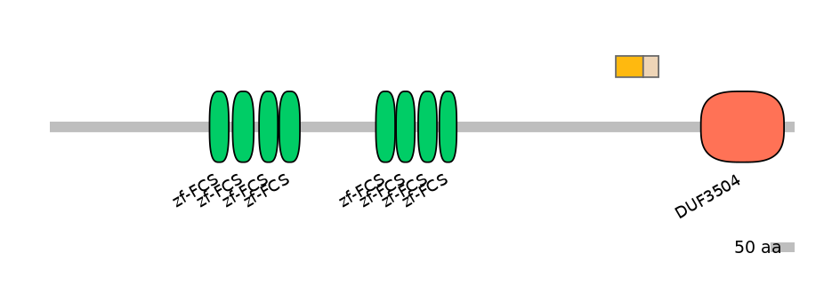 MmuINT0180525-EXC