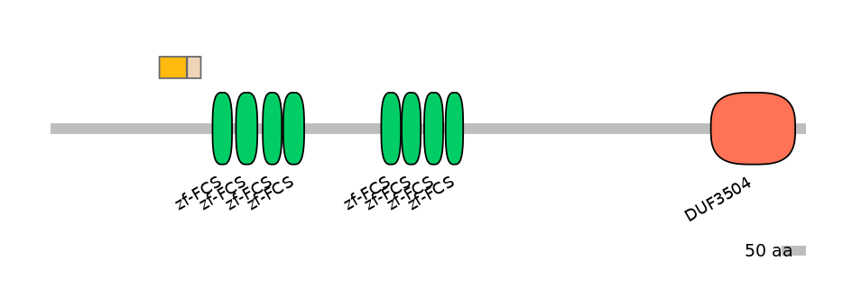 MmuINT0180532-EXC
