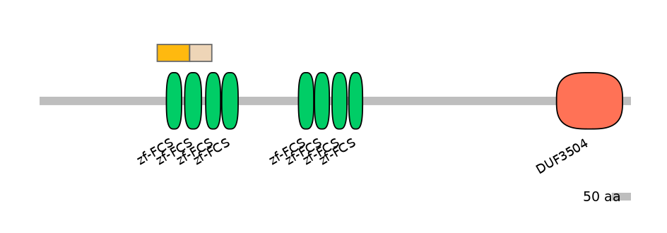 MmuINT0180534-EXC