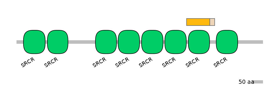 MmuINT1002577-EXC